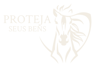Proteja Seus Bens